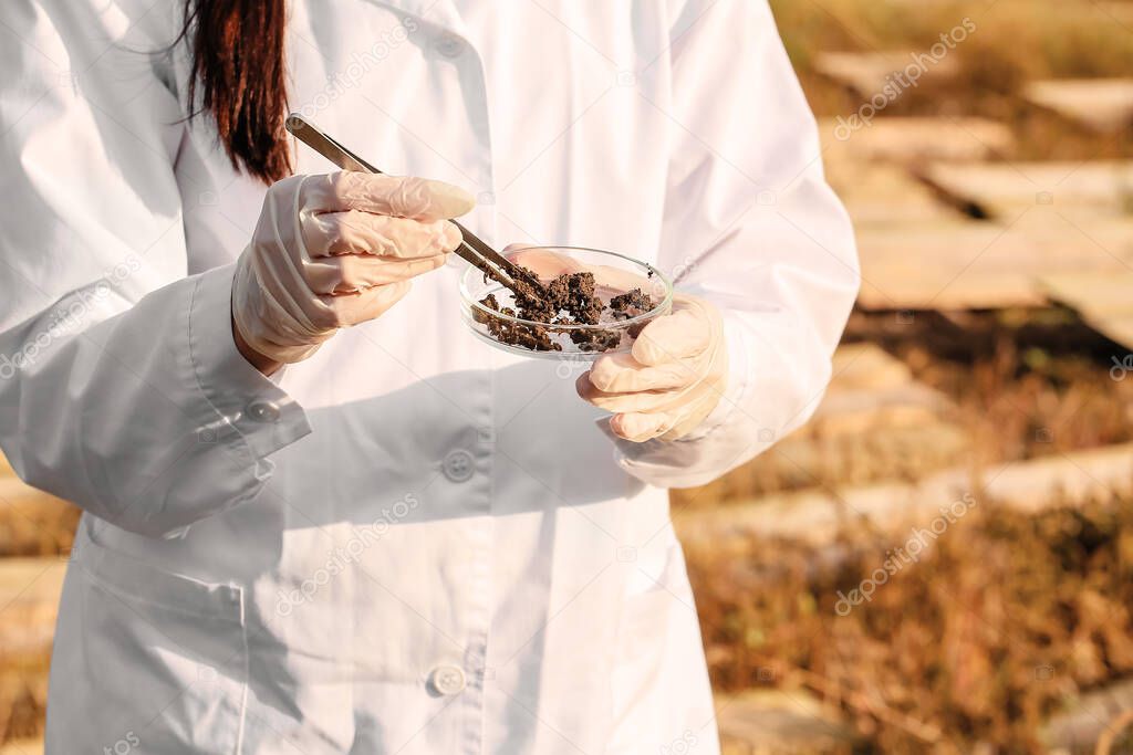 Scientist studying snails at the farm, closeup