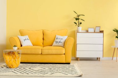 Kanepesi ve çekmeceleri olan modern bir oturma odası.