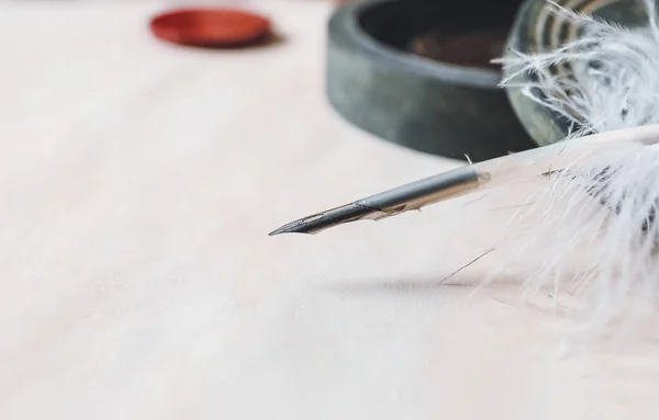 Feather Pen Paper Sheet Closeup — Fotografia de Stock