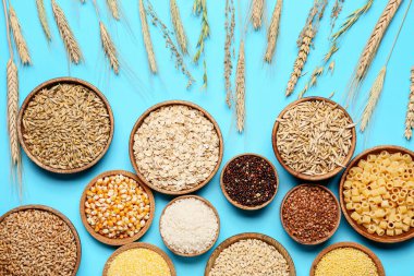 Renkli arka planda tahıl çeşitleri içeren kaseler