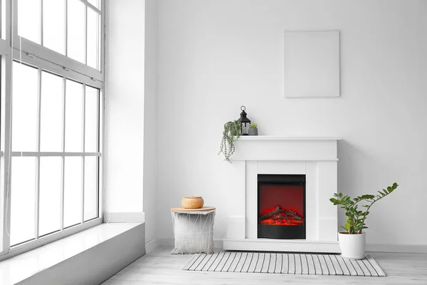 Interior Room Fireplace Houseplants — Stock Photo, Image