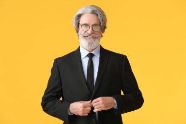 Renkli arka planda kıdemli iş adamının portresi