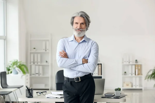 Senior Businessman Working Office — Stock Photo, Image