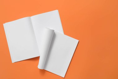 Renk arkaplanındaki boş dergiler