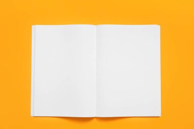 Renk arkaplan üzerine boş dergi