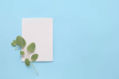 Boş dergi ve arkaplan rengi üzerine şube