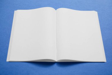 Renk arkaplan üzerine boş dergi