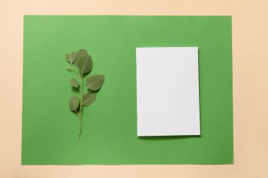 Boş dergi ve arkaplan rengi üzerine şube