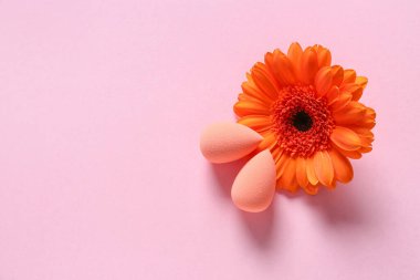 Renkli arkaplanda çiçekli makyaj süngerleri