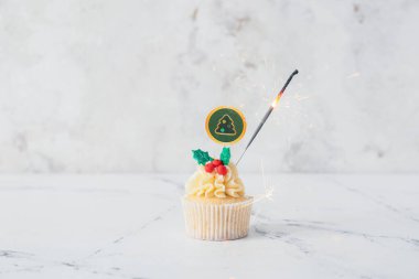 Hafif arka planda maytaplı lezzetli bir Noel keki.