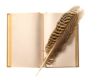 Beyaz arkaplanda tüy olan eski bir kitap