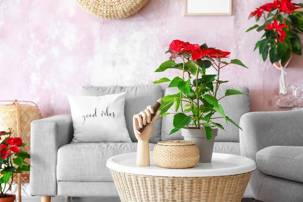 Christmas Plant Poinsettia Table Interior Room — Stock Photo, Image