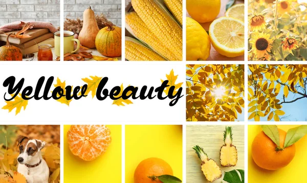 Koláž Světlých Fotografií Textem Yellow Beauty — Stock fotografie