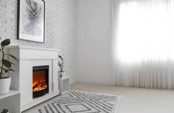 室内の観葉植物と暖炉 — ストック写真