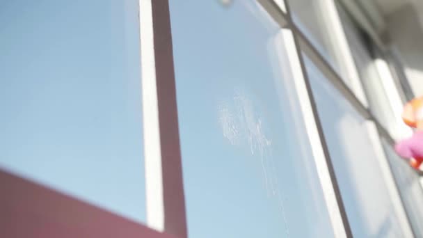 Young Woman Cleaning Window Home — Stock Video