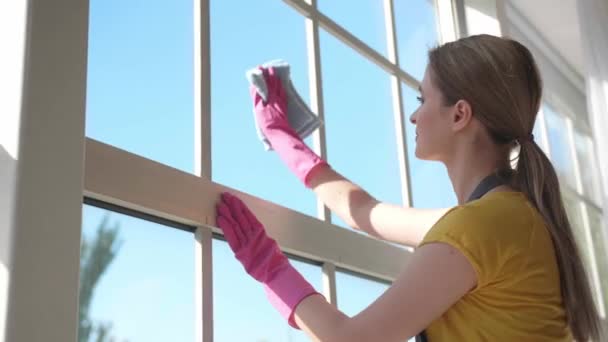 若い女性が自宅の窓を洗浄 — ストック動画