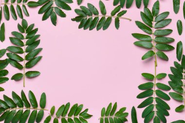 Arkaplanda yeşil rowan yapraklarından yapılmış çerçeve