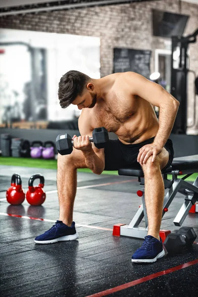 Handsome Muscular Man Exercising Dumbbell Gym — Stock Photo, Image