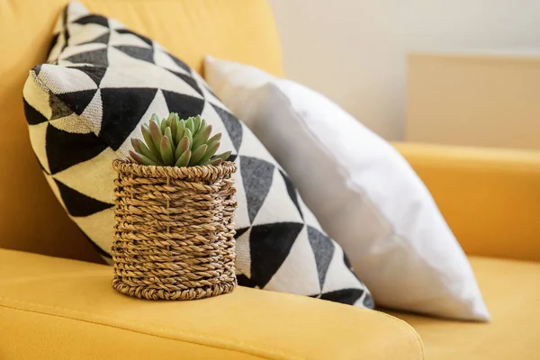 Wicker Basket Houseplant Pillows Color Sofa — Stock Photo, Image