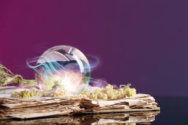 Falcı, şifalı bitkiler ve büyü kitabı.