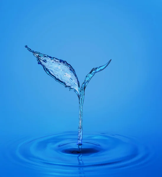 Beautiful Sprout Made Water Zen Concept — Stock Photo, Image