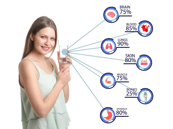 Jonge Vrouw Percentage Water Verschillende Inwendige Organen Weefsels Witte Achtergrond — Stockfoto