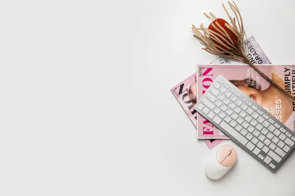 Computer Keyboard Mouse Magazines White Background — Stockfoto