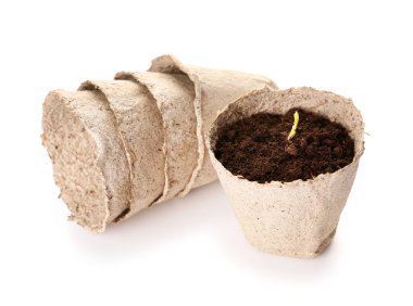 Topraklı turba tencereleri ve beyaz arka planda yeşil filizler.