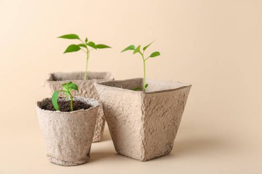 Topraklı turba tencereleri ve arka planda yeşil fideler