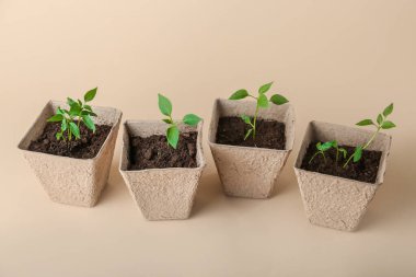 Topraklı turba tencereleri ve arka planda yeşil fideler