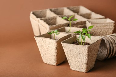 Topraklı turba tencereleri ve arka planda yeşil fideler