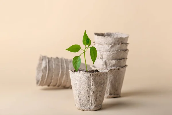 Peat Pots Soil Green Seedling Color Background — Stock Photo, Image