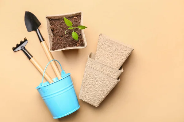 Peat Pots Soil Green Seedling Color Background — Stock Photo, Image