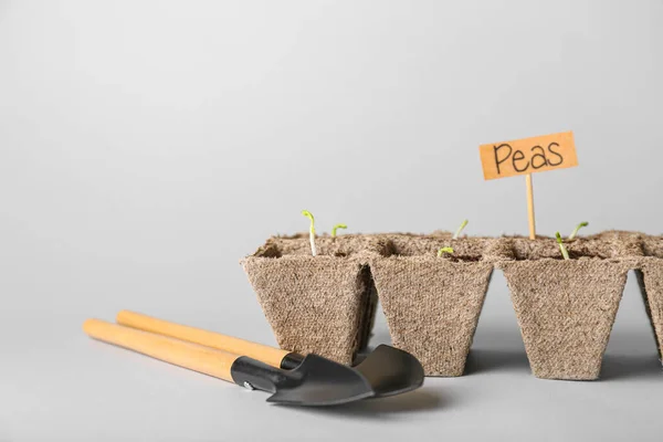 Turfpotten Met Bodem Groene Zaailing Lichte Ondergrond — Stockfoto