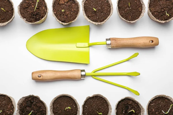 Peat Pots Soil Green Seedling White Background — Stock Photo, Image