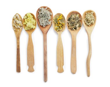 Spoons with different herbs on white background clipart