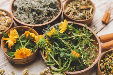 Ahşap arka planda farklı otlarla güzel bir kompozisyon.