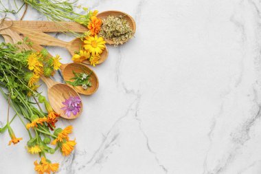 Açık arkaplanda bitkiler ve çiçeklerle güzel bir kompozisyon