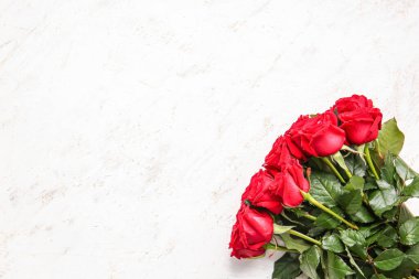 Açık arkaplanda güzel kırmızı güller