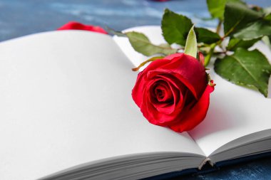 Boş sayfalı ve güzel kırmızı gül arkaplanlı kitap, yakın plan