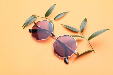 Renkli arkaplanda güzel güneş gözlükleri ve yeşil dal