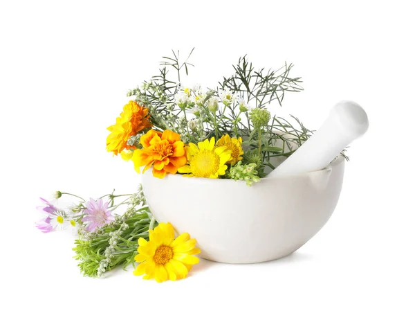 Mortar Different Herbs Flowers White Background — Stock Photo, Image