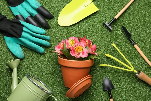 Gartengeräte Und Topf Mit Blühender Pflanze Auf Farbigem Hintergrund — Stockfoto