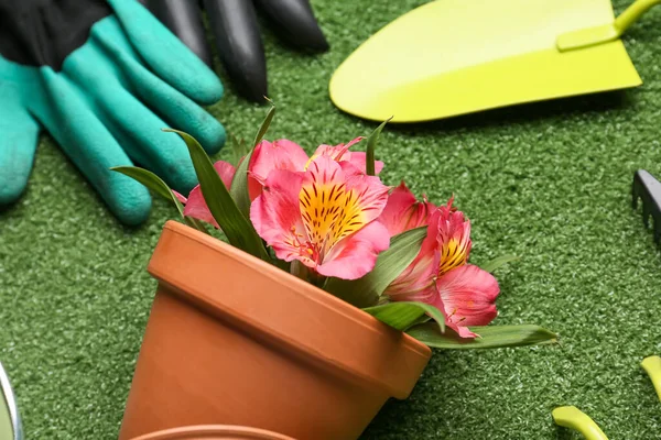 Gartengeräte Und Topf Mit Blühender Pflanze Auf Farbigem Hintergrund — Stockfoto