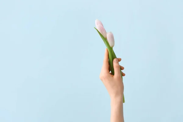 Hand Bouquet Beautiful Flowers Color Background — Stock Photo, Image