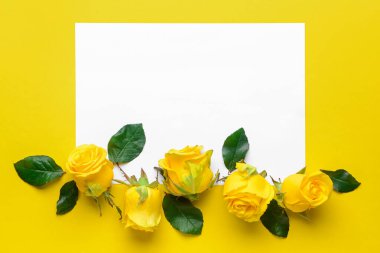 Renk arkaplanı üzerine güzel sarı gülleri ve boş kağıtları olan kompozisyon