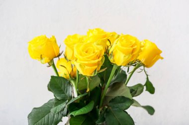 Açık arkaplanda güzel sarı güller