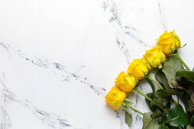 Açık arkaplanda güzel sarı güller