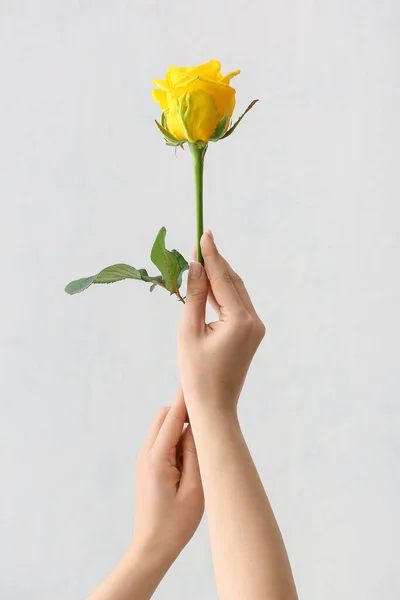 Руки Красивою Жовтою Трояндою Світлому Фоні — стокове фото