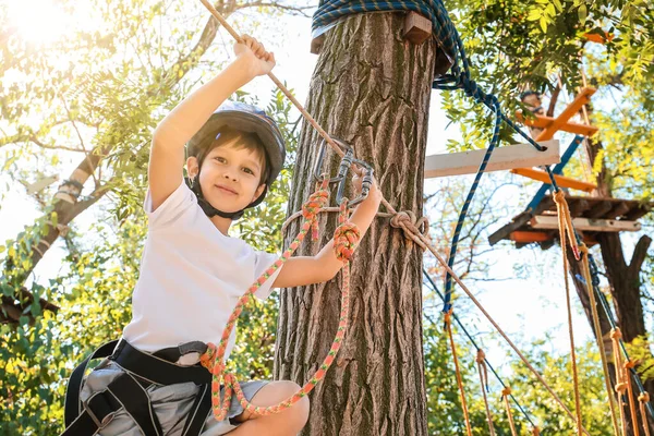 Little Boy Climbing Adventure Park — Stock Photo, Image